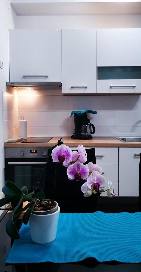 Radenka Zafron Apartment Vodice Luaran gambar